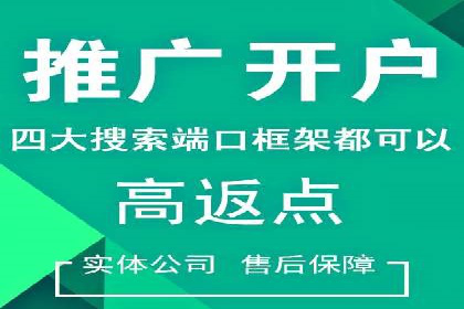 案例研究：SEM开户助力电商快速崛起